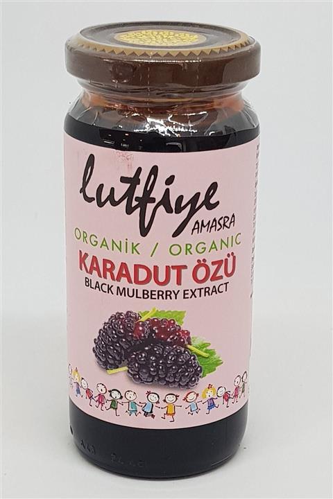 LUTFIYE Organik Karadut Özü 300 Gr