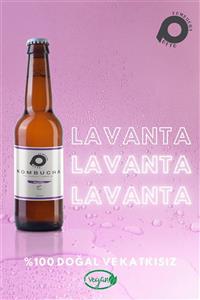 Potto Kombucha Lavanta'lı - 6 Adet 330 ml