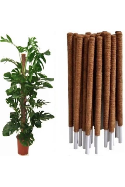 Bahçem Koko Sarmaşık Destek Çubuğu 90 Cm Yeni Ürün