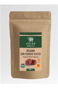 Ayda'nın Bahçesi Organik Kuru Kayısı 250 gr