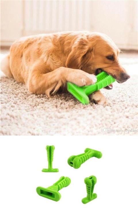 rennway Köpek Diş Temizleyici Ve Kaşıyıcı Sağlıklı Küçük Boy Oyuncak