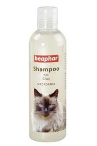 Beaphar Glossy Coat Kedi Şampuanı Parlak Tüyler 250 ml