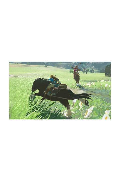 Nintendo The Legend Of Zelda : Breath Of The Wild Switch Oyun