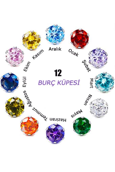 Adal Silver Kadın 925 Ayar Gümüş Sitrin Taş Kasım Burç Küpesi