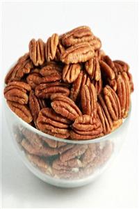 OnlineBahçem Tüplü Sahil Cevizi Pikan (pecan) Ceviz Fidanı