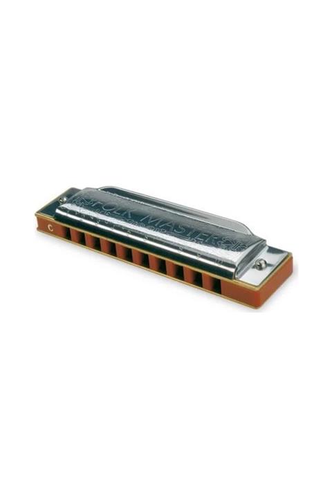 Suzuki 10 Delikli Folkmaster Mızıka