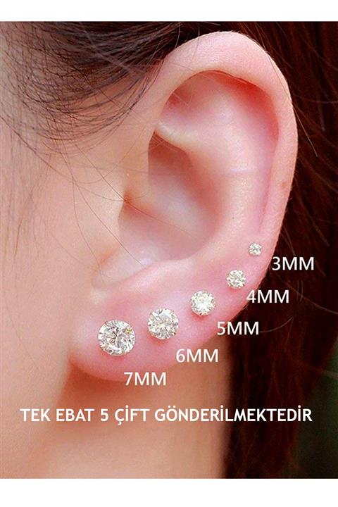 BERCHINE 925 Ayar Tek Taş Gümüş Küpe