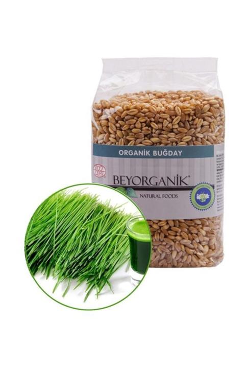 BEYORGANİK Gıda Çimlendirmelik Organik Buğday 500 gr