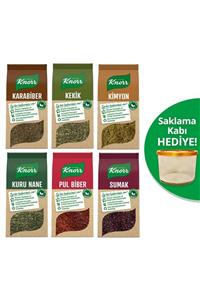 Knorr Baharat Serisi Pul Biber 65gr+karabiber 60gr+kuru Nane 25gr+kekik 20gr+kimyon 65gr+sumak 70gr