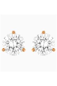 Swarovski 5112156 Küpe Solitaire