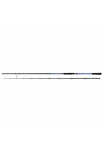 Shimano Blue Romance Ax Shore Jigging 290cm 50-80gr. Kamış