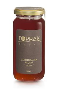 Toprak Doğal Çam Kozalak Reçeli 300 g Sakarya