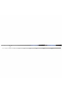 Shimano Blue Romance Ax Powergame 300cm 40-80 gr Shore Jig Kamışı