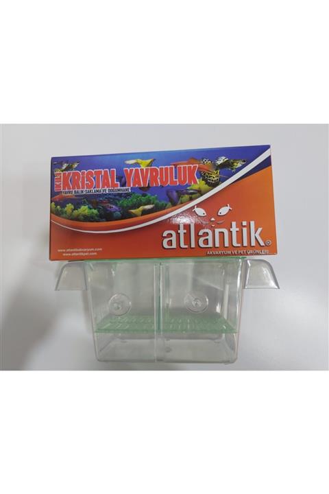 ATLANTİK Akvaryum Yavruluk Kristal Çiftli Büyük Boy 20cm