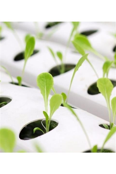 ALSA 110x3000 3,2 Pvc Boru Topraksız Tarım Seti