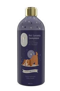 Gallipoli Lavender Lavanta Yağlı Köpek Şampuanı 400 ml Antiseptik Pet Şampuan