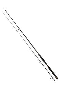 DAIWA New Bg Seabass 2.50m 10-35gr 2p Spin Olta Kamışı