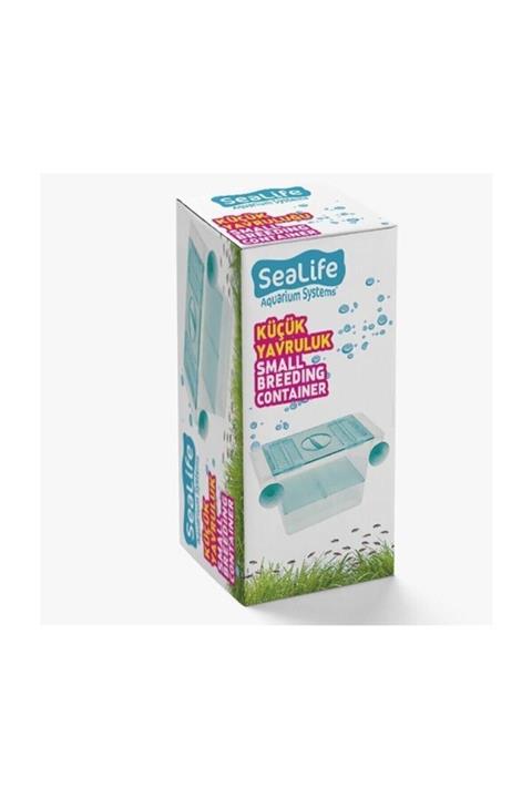 Sealife Küçük Tekli Yavruluk