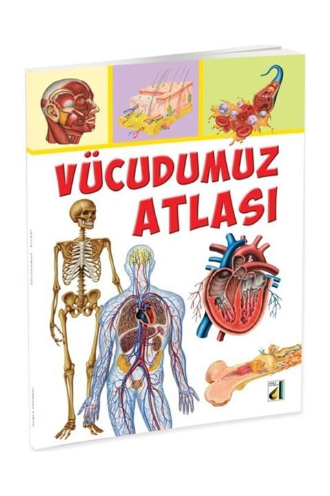 Damla Yayınevi Vücudumuz Atlası