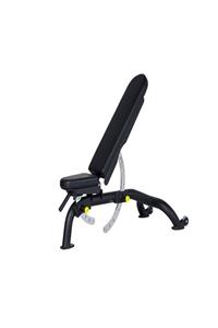 Prowellness MULTI ADJUSTABLE BENCH