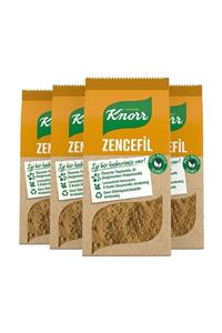 Knorr Baharat Serisi Toz Zencefil 50 Gr X 4 Adet