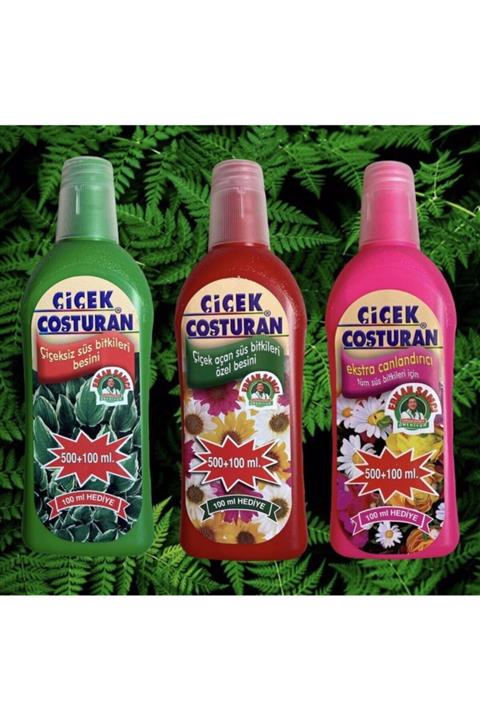 ÇİÇEK COŞTURAN Çiçeksiz Süs Bitkileri+çiçek Açan Süs Bitkileri+tüm Süs Bitkileri Için Ekstra Canlandırıcı 3'lü Set