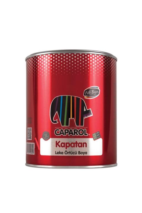 Filli Boya Leke Örtücü Boya Kapatan 0,75 Litre ( Beyaz)