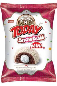 Elvan Today Snowball Mini Hindistan Cevizli Kek 25 Gr. 24 Adet (1 Kutu)