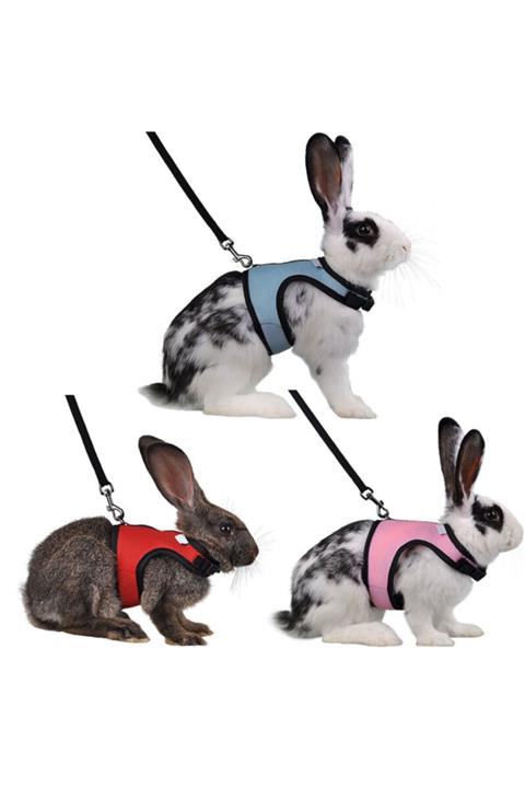 ozzipetshop Tavşan Gezdirme Tasması Nefes Alabilen Kumaş