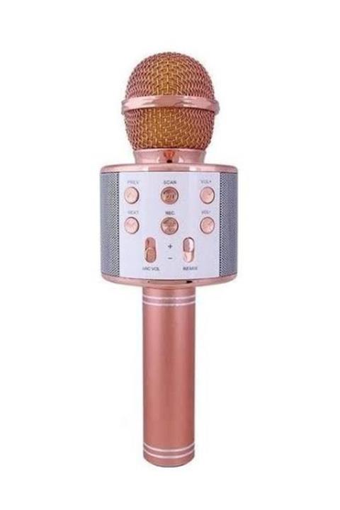 Evervox Evr Krk 02 Karaoke Mikrofon Rose Gold