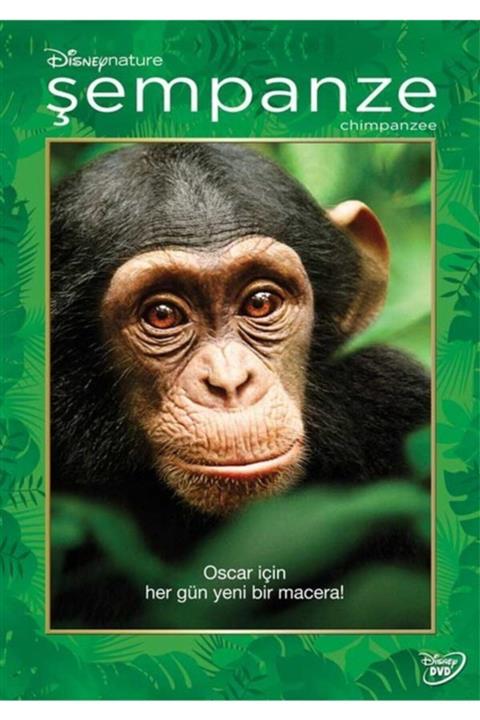 DVD Şempanze