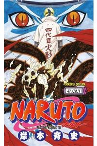 Gerekli Şeyler Naruto 47.cilt