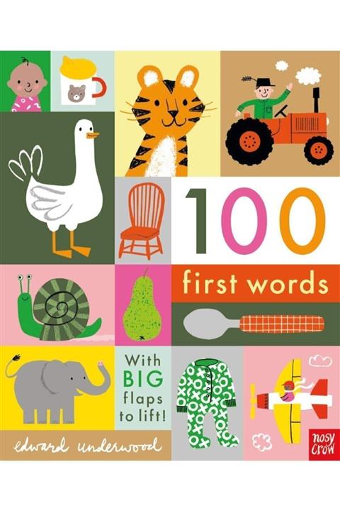 Nosy Crow 100 First Words
