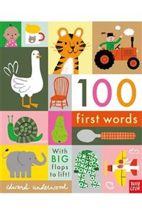 Nosy Crow 100 First Words