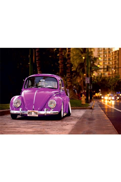 Ritoys 1974 Vosvos 500 Parça Puzzle Yapboz