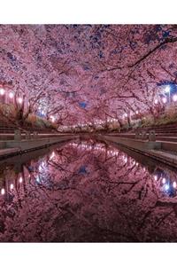 Movas Sanat Japonya Kiraz Çiçekleri Parkı Elmas Mozaik Tablo 45x55cm E20203310