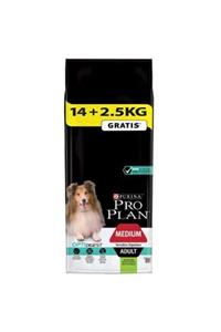 Proplan Pro Plan Kuzu Etli Yetişkin Kuru Köpek Maması 14 2,5 Kg