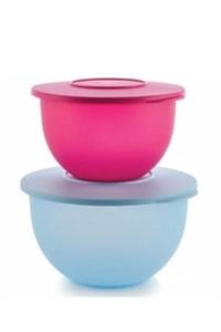 Tupperware Eko Saklama Kabı 2,5lt-4,3lt Pembe Mavi