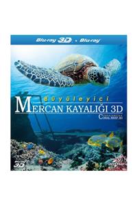 plakmarketi 3dblu Ray - Büyüleyici Mercan Kayalığı 3d