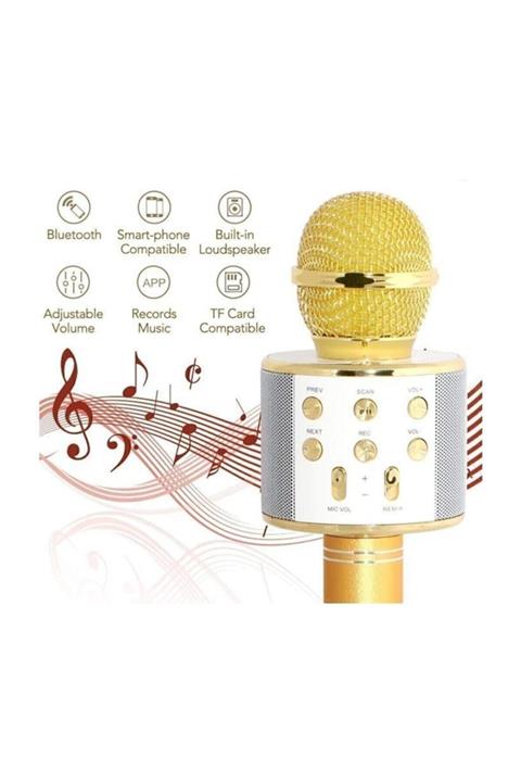 H.E.S. AKSESUAR Hes Aksesuar-wster Karaoke Mikrofon Dahili Hoparlörlü Usb Flash Destekli Ws-858 Gold