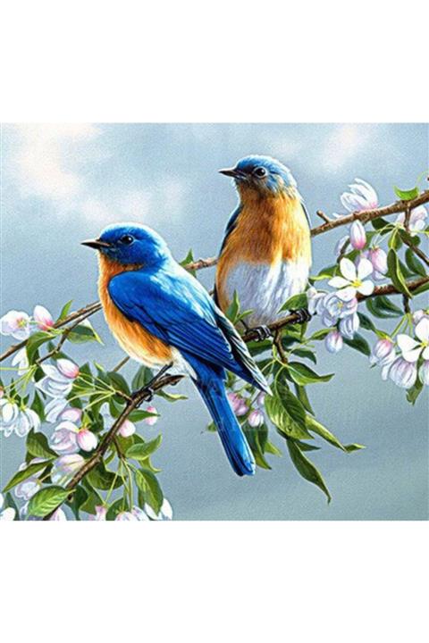 MOVAS Sanat Sevimli Çiftler Elmas Mozaik Tablo / Boncuk Goblen 50x50cm E20202776m