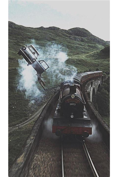 MARCEL SANAT Harry Potter(36x61)