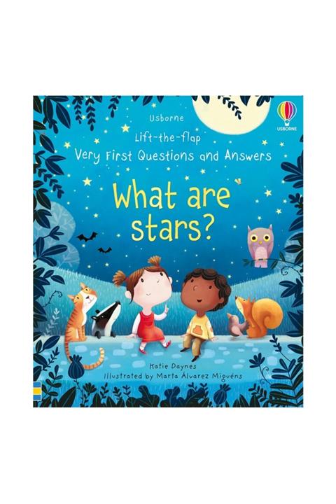 Usborne What Are Stars  Lift-the-flap Very First Questions And Answers