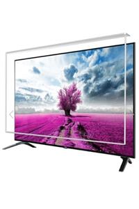 trendglass Hi-level 55hl500 55'' Inç 139 Ekran Tv Ekran Koruyucu Panel