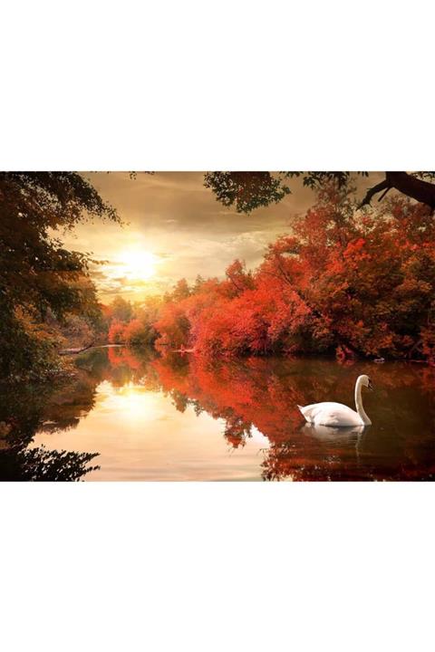 Puzzle Store Kırmızı Göldeki Kuğu 1000 Parça