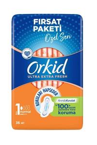 Molped Pure & Soft Dev Eko Paket Gece 24'lü