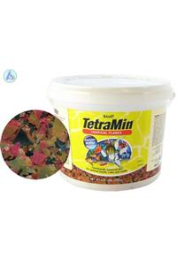 Tetra Min Flakes Pul Balık Yemi 250gr