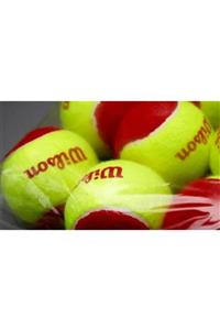 Wilson Starter Red Tenis Topu