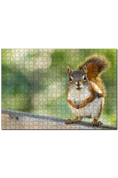 Cakapuzzle Daldaki Sevimli Küçük Sincap 500 Parça Puzzle Yapboz Mdf (ahşap)