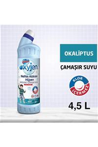 Bingo Oksijen Çamaşır Suyu 750 ml Ekonomi Paketi 6'lı Okaliptus